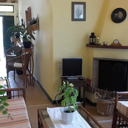 La Plaza B Kır Evi Arico el Nuevo