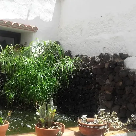 La Plaza B Kır Evi Arico el Nuevo